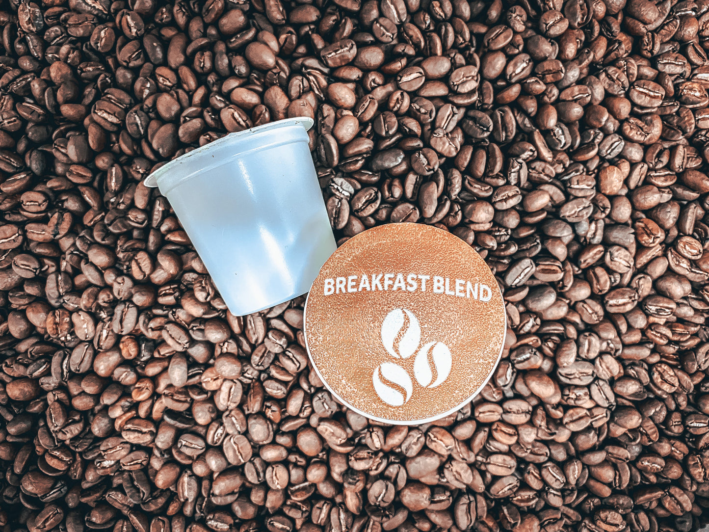 Bison Breakfast Blend | Medium Roast